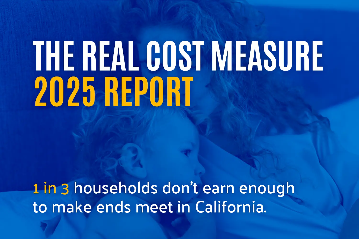 The Real Cost Measure 2025