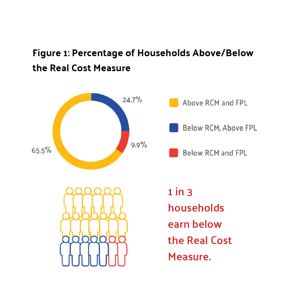 The Real Cost Measure 2025 Stats